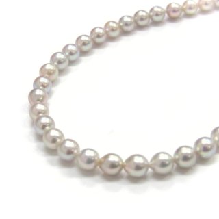 アコヤ真珠ネックレス ベビーサイズ 5-5.5mm ラウンド ホワイト フォーマル