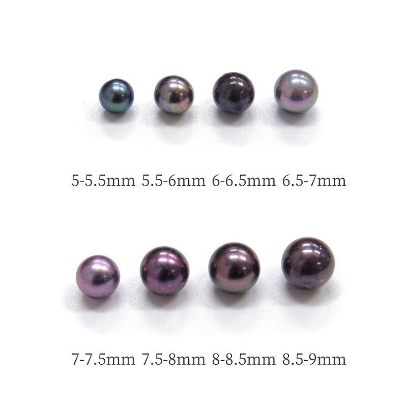 アコヤ黒真珠 ベビーパールピアス イヤリング 5.5-6mm ブラック