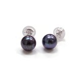 アコヤ黒真珠 ベビーパールピアス イヤリング 5-5.5mm