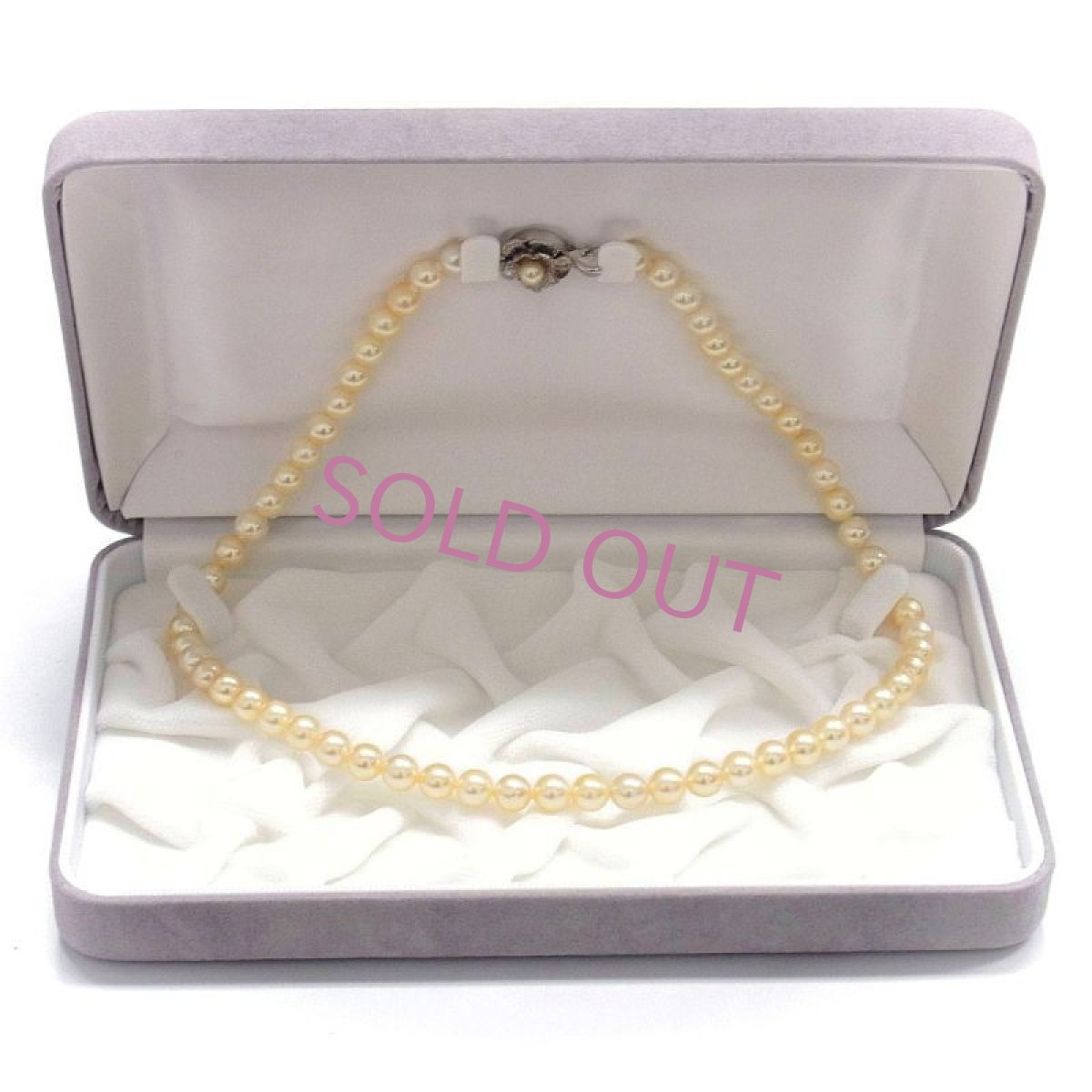 箱一例　変更になる場合があります。