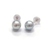 アコヤ真珠 直結ピアス イヤリング 5.5-6mm ベビーパール