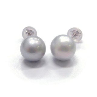 アコヤ真珠 直結ピアス8.5-9ｍｍ ナチュラルグレー K14WG