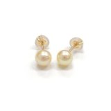 アコヤ真珠 ベビーパールピアス イヤリング 3.5-4mm ゴールド