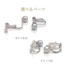 選べるイヤリング