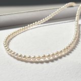 アコヤ真珠 ベビーパールネックレス 5-5.5mm ホワイト シルバー