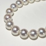 937 超美品　本真珠　アコヤ真珠 セミラウンドシェイプネックレス 証明書付き アコヤ本真珠ネックレス8.0-8.5㎜鑑別付きハイクラスセット桐箱