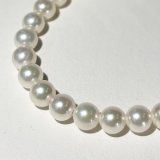 アコヤ真珠　ネックレス　シルバー　鑑別カード付き　パール　7.5〜8mm アコヤ真珠 パールネックレス ホワイト 7.5-8mm セミラウンド