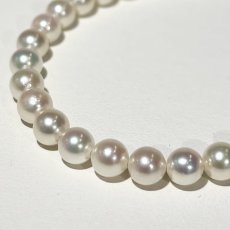 画像1: アコヤ真珠 ベビーパールネックレス 5-5.5mm  ホワイト シルバー製 約42cm GIA宝石鑑定士保証書 真珠クロス付き (1)