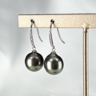 本真珠　南洋黒蝶真珠タヒチパールピアス　グリーン虹色P951 本真珠 南洋黒蝶真珠タヒチパールピアス ダークグリーン虹色P503