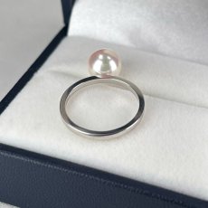画像5: アコヤ真珠 パールリング 8-8.5mm ホワイト ラウンド K18WG 12号 GIA宝石鑑定士保証書付き　 (5)