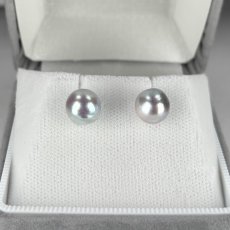 アコヤ真珠 パールピアス 8-8.5ｍｍ セミバロック ナチュラルグレー 無調色 K14WG  