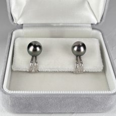 画像5: ≪1点物≫黒蝶真珠 ブラックパールイヤリング 9.5-10mm ピーコックカラー ラウンド K14WG GIA宝石鑑定士保証書付き  (5)