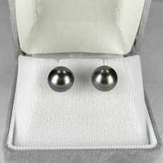 画像4: ≪1点物≫黒蝶真珠 パールピアス 9.5-10mm グリーン〜ブラック セミラウンド〜オーバル(楕円) K14WG GIA宝石鑑定士保証書付き  (4)