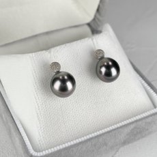 画像5: 黒蝶真珠 パールピアス 9mm ブラック セミラウンド K18WG GIA宝石鑑定士保証書付き (5)