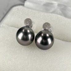 画像1: 黒蝶真珠 パールピアス 9mm ブラック セミラウンド K18WG GIA宝石鑑定士保証書付き (1)