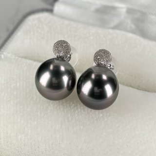 黒蝶真珠 フックパールピアス 9mm ピーコックカラー セミ