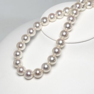 全商品 - パール・パール・コウベ