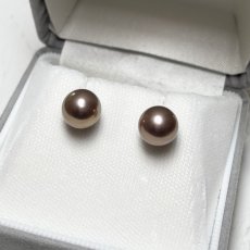 画像1: 淡水真珠 パールピアス 8.5-9mm  グレーパープル オフラウンド PT900 (1)