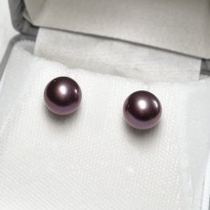 画像1: 淡水真珠 パールピアス 8.5-9mm  パープル オフラウンド PT900 (1)
