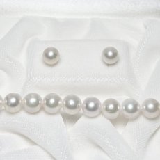 アコヤ真珠 パールネックレスセット(イヤリング/ピアス)  7-7.5mm ホワイト 45cm