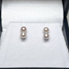 画像2: アコヤ真珠 ツインパールピアス 4-5ｍｍ シルバーグレー 無調色 K18YG K14WG K10PG  (2)
