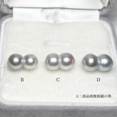 画像5: アコヤ真珠 ツインパール ピンブローチ タイタック ネクタイピン付き有り 7-8mm ナチュラルグレー 無調色 ユニセックス (5)