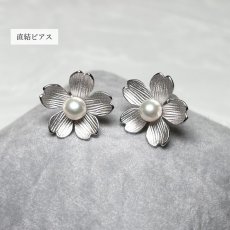 画像9: アコヤ真珠 桜 パールピアス イヤリング 4.5-5mm ホワイト ラウンド SV925製 フックタイプ 直結タイプ (9)