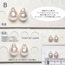 画像6: アコヤ真珠 ドロップ型 パールピアス イヤリング 7.5-8mm×10-11mm バロック K14WG 　 (6)
