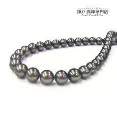 1点物 タヒチ黒蝶真珠 パールネックレス タヒチ 8.1-10.5ｍｍ ピーコックグリーン 42cm SV製