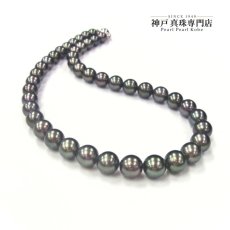 1点物 タヒチ黒蝶真珠 パールネックレス タヒチ 8.1-10.5ｍｍ ピーコックグリーン 42cm SV製