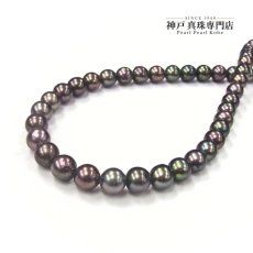 1点物 アコヤ黒真珠 パールネックレス 7-7.5ｍｍ セミラウンド 約42cm シルバー製 